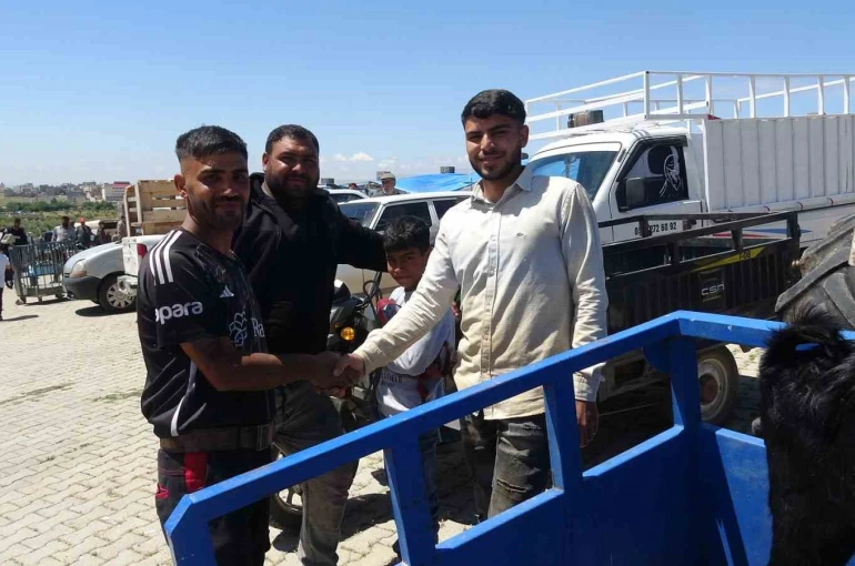 Kilis’te kurbanlık pazarında hareketlilik arttı
