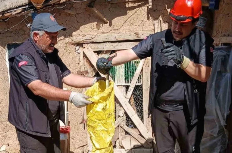Kırıkkale’de kümese giren yılanı itfaiye çıkardı