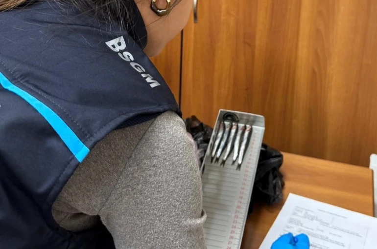 Kırklareli’nde hamsi denetimleri sürüyor 