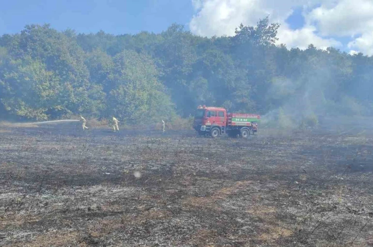 Kırklareli’nde örtü yangını: 25 dekar alan zarar gördü 