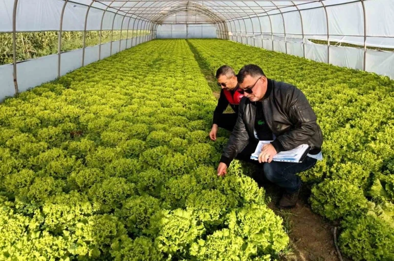 Kırklareli’nde sera denetimleri 