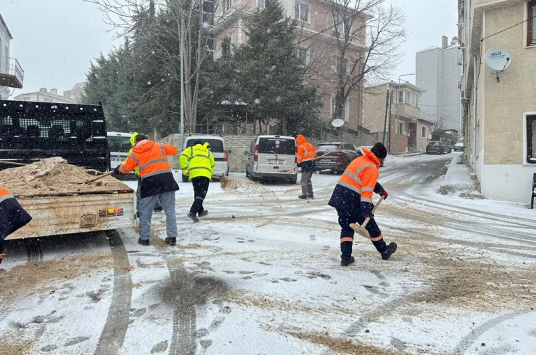 Kırklareli’nde solüsyonla ilaçlama ve tuzlama çalışmaları