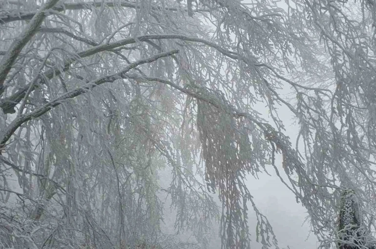 Kırklareli’nin yüksek kesimleri beyaza büründü 