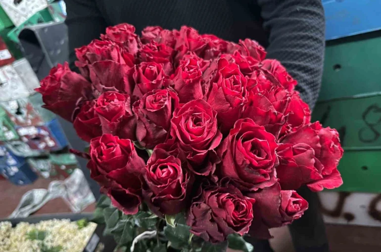 Kırmızı gülü yağış vurdu: Kenya ve Uganda gülleri revaçta 