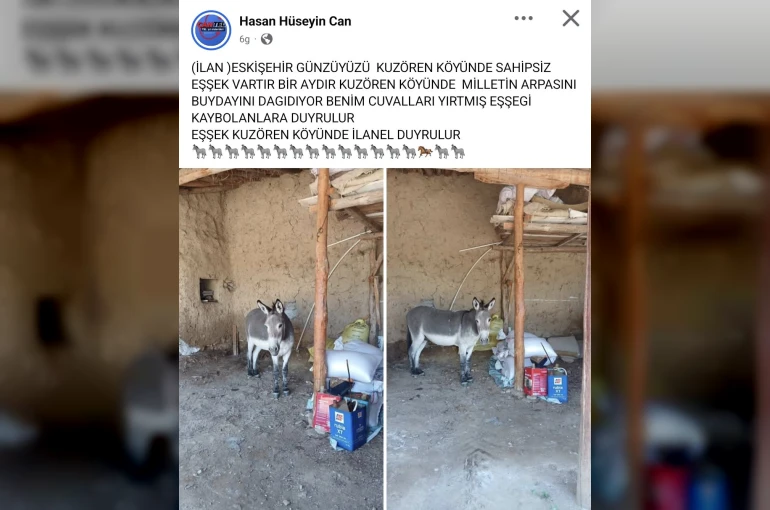Kırsal mahalledeki başıboş eşek merak konusu