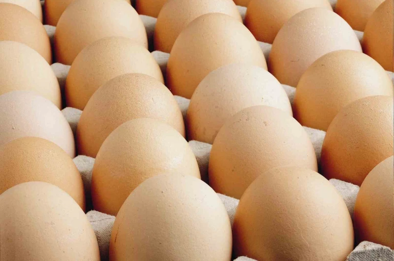 Kişi başına düşen yumurta üretimi 15 adet azaldı 