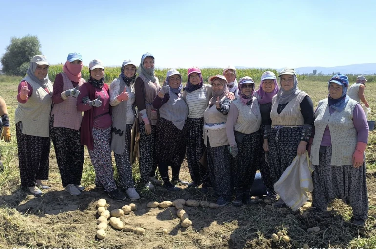 Kışlık patates hasadı başladı, rekolte üreticilerin yüzünü güldürdü 