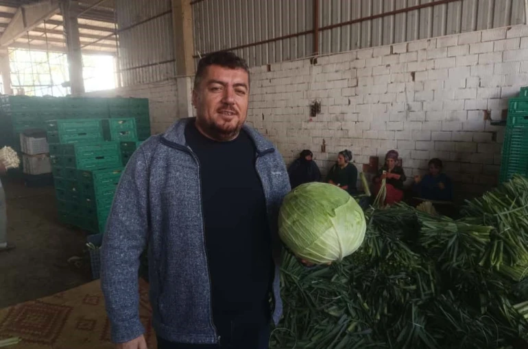 Kışlık ürünlerde hasat başladı 