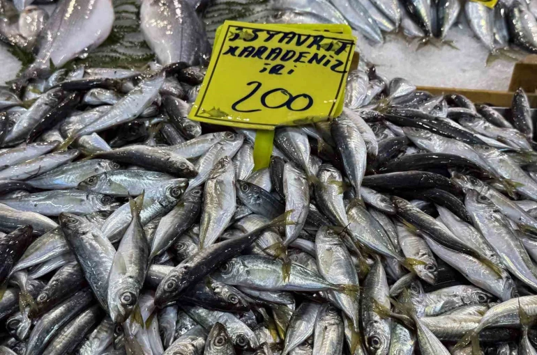 Kocaeli’de balık tezgahlarındaki son durum