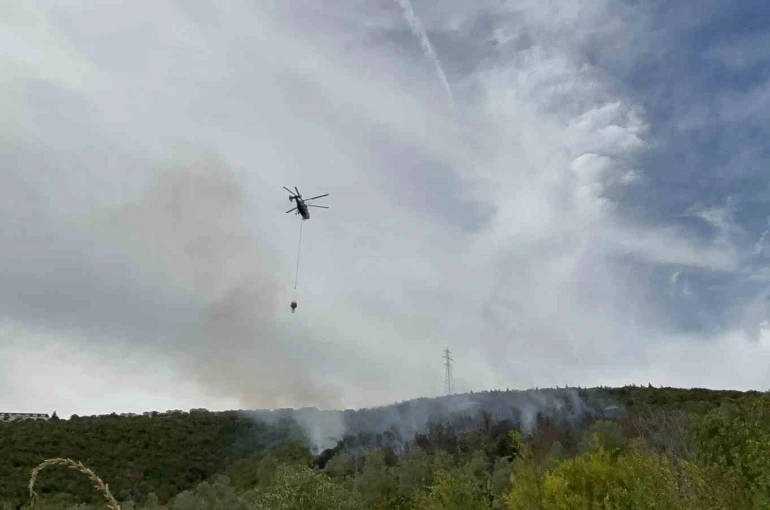 Kocaeli’deki orman yangını 1 saatte kontrol altına alındı