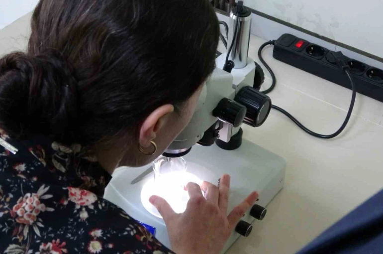 Kolorektal kanser tedavisi için yeni umut