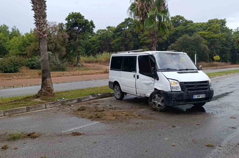 Kontrolden çıkan kamyonet palmiye ağacına çarptı: Kaza anı kamerada 