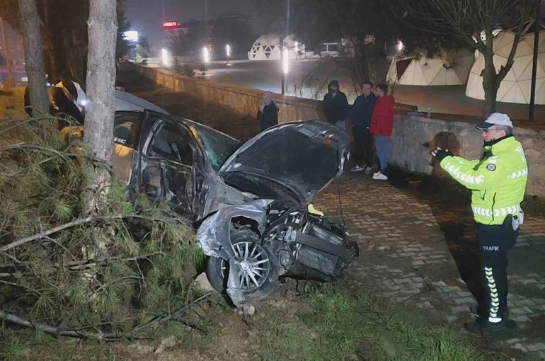 Kontrolden çıkan otomobil, direk ve ağaçlara çarptı: 1 yaralı