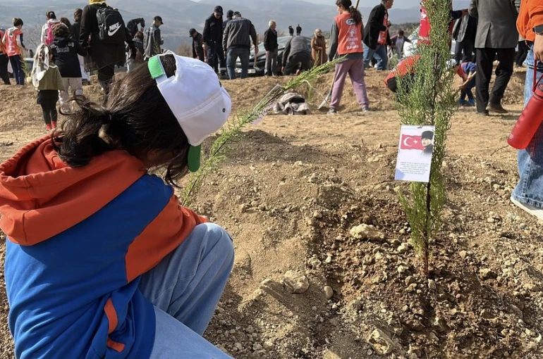 Konya'da 33 bin 811 fidan toprakla buluştu