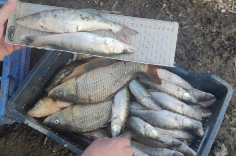 Konya’da balık avına sıkı denetim!