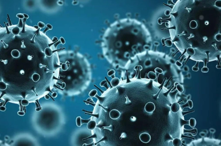 Konya’da Influenza şüphesi