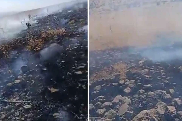 Konya’da kuruyan otlar alev aldı! Vatandaşlar seferber oldu