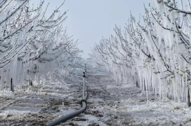 Konya için korkulan tahmin! Yağış ve don kapıda