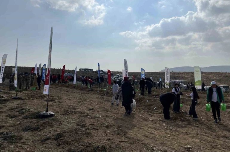 Konya’da 33 bin 811 fidan toprakla buluştu 