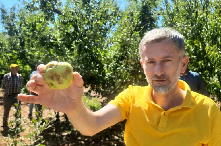 Konya’da dolu etkili oldu, bahçeler büyük zarar gördü 