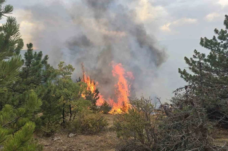 Konya’da ormanlık alanda çıkan yangın söndürüldü 