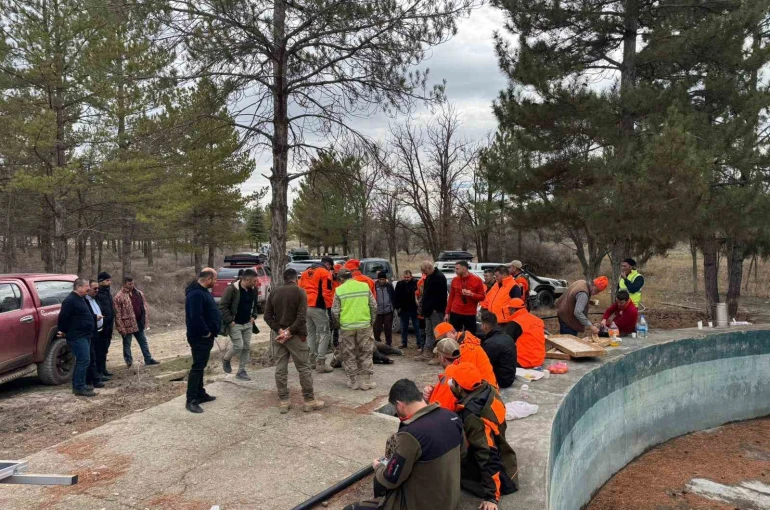 Konya’da yaban domuzlarına sürek avı düzenlendi 