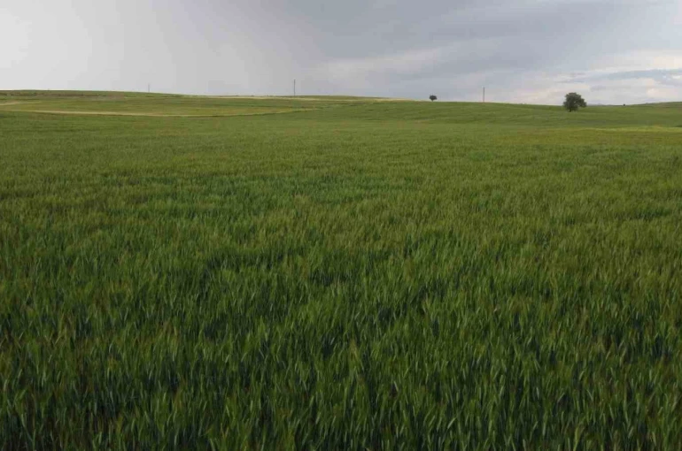 Konya’da yüksek kesimler yağışa doydu 