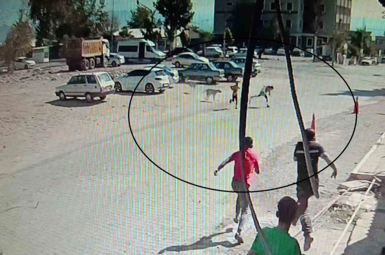 Köpeklerden kaçarken yere yığılan çocukların yardımına vatandaşlar yetişti