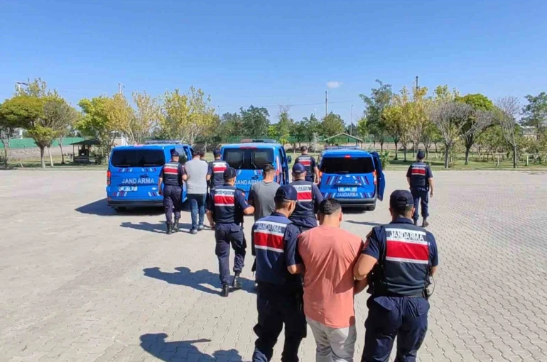 Köpekleri dövüştürüp sosyal medyada paylaştılar, jandarma ekiplerince operasyonla yakalandılar