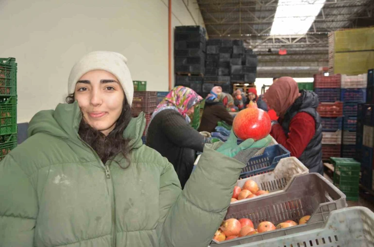 Korkuteli’nden nar ihracatı başladı 