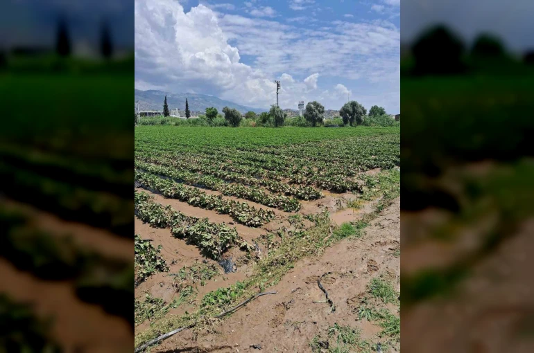 Köşk’te sel sonrası arazilerde hasar tespiti başlatıldı 