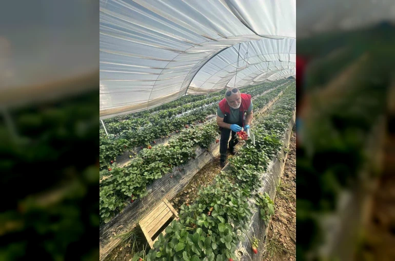 Köşk’ten Sultanhisar’a çapraz denetim 