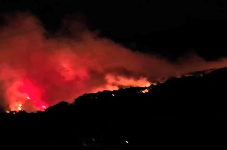 Köyceğiz’de orman yangını müdahale devam ediyor 