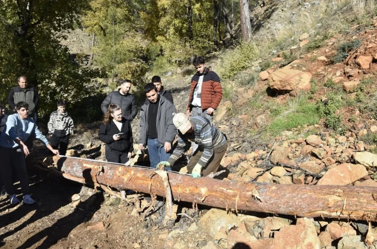 Köyceğiz’de Ormancılık Yüksek Okulu öğrencileri saha uygulamalarına katıldı