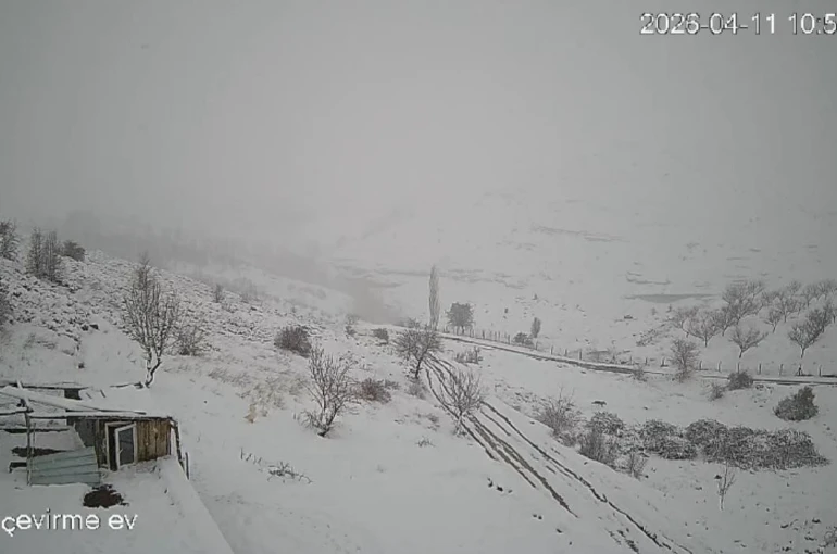 Köye inen kurt sürüsü kameraya yansıdı