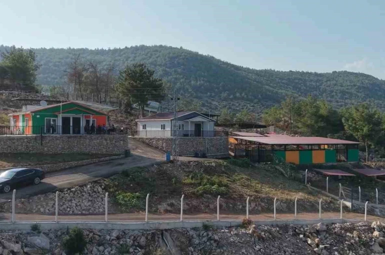 Kozan’da hedef sıfır sahipsiz sokak hayvanı