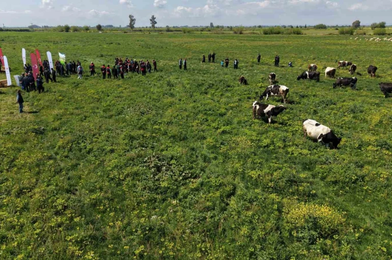 Kozan’da ıslah edilen mera alanı dualarla açıldı, sürüler alanda otlamaya başladı 