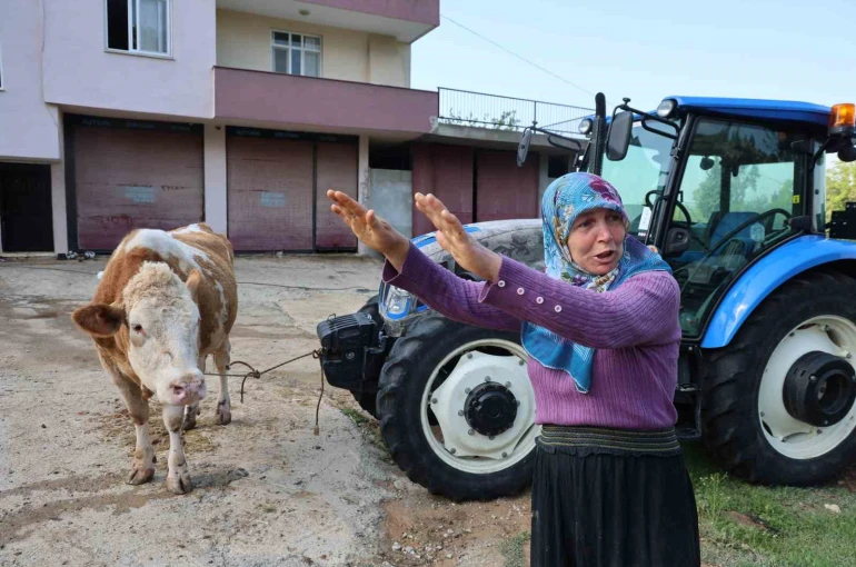Kozan’daki selde hayvanları telef olan kadın: "Bir anda sel geldi, ahırın üstünü aştı" 