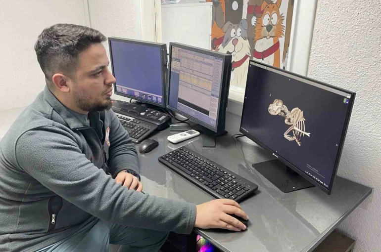 Kulağından beynine tümör yayılan sokak köpeği zorlu operasyonla hayata tutundu 