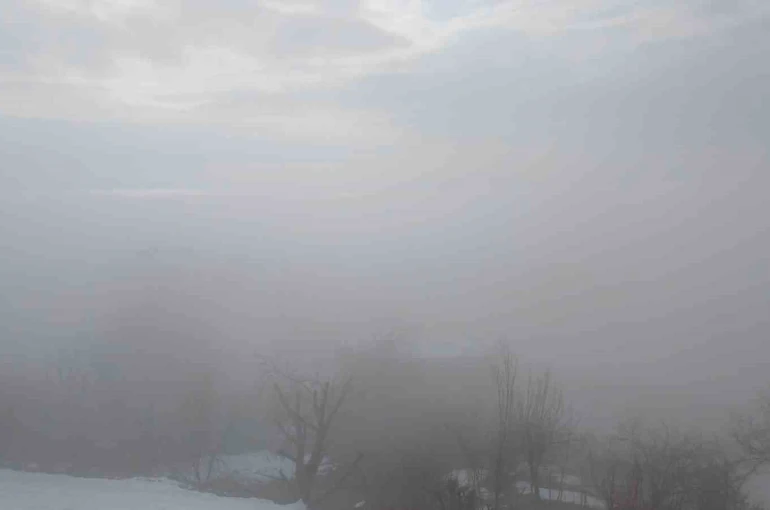 Kulp ilçesinde yoğun sis etkili oldu 