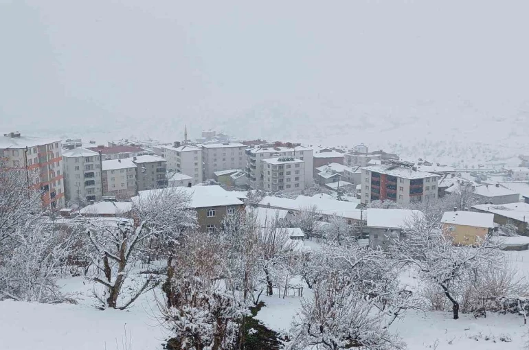 Kulp’ta kar esareti: Köy yolları kapandı, ilçe trafiği kilitlendi