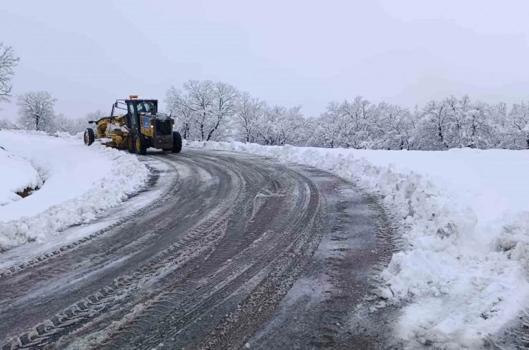 Kulp’ta kar nedeni ile kapanan yolları açılıyor 