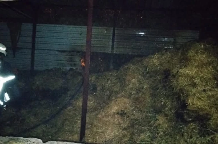 Kumlu’da samalık yangını 