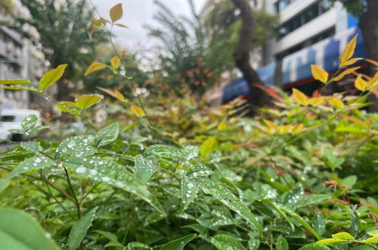 Kuraklıkla mücadele eden İzmir’de yağmur serinliği 