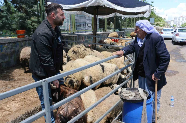 Kurban pazarında sessizlik: Satıcılar son günleri bekliyor 