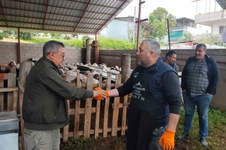 Kurbanlıklar satışa çıktı, pazarlıklar kızıştı 