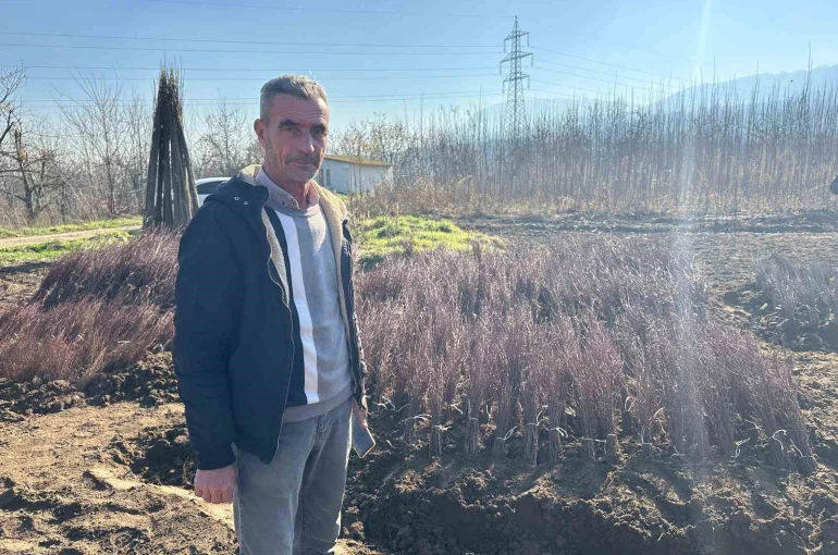 Kurulan her meyve bahçesinde "Bursa" imzası var 