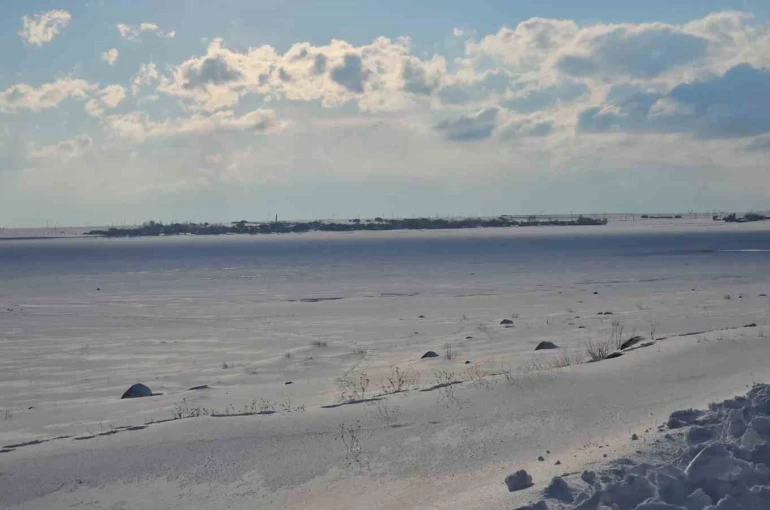 ‘Kuş cenneti’ Arin Gölü tamamen dondu 