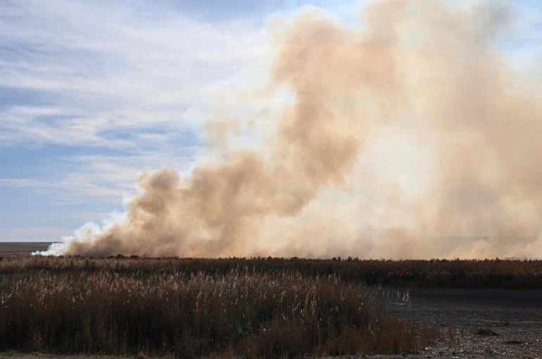 Kuş cennetinde sazlık yangını