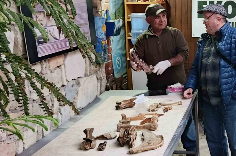 Kuşadası kıyılarında fırtına sonrası ortaya çıkan kemikler incelendi 